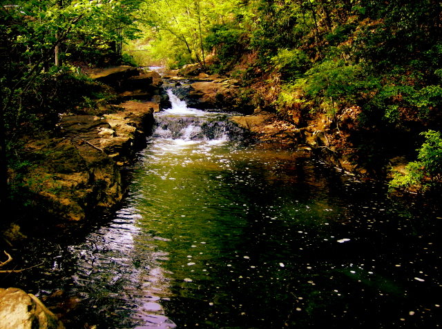 Chelsea, AL: this is a creek very close to the high school its also a great swimming hole.