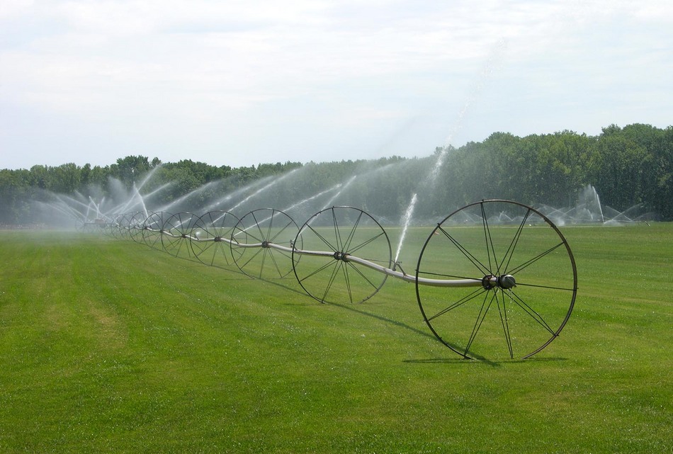 Pemberton, NJ: An irrigation system watering a Pemberton Sod farm in the early morning