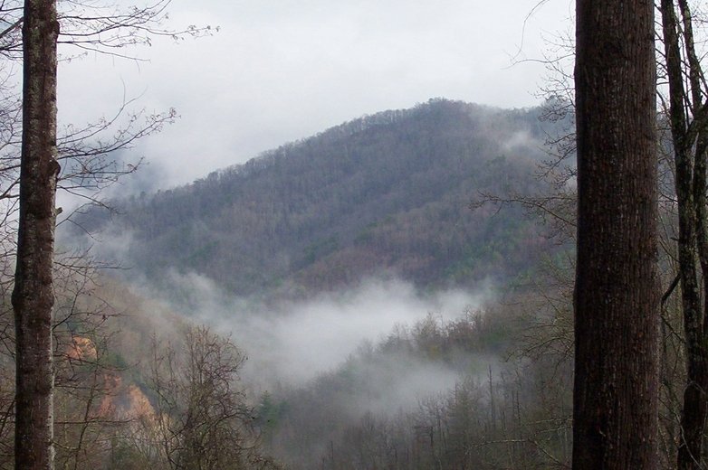 Bryson City, NC : Enjoy your coffee, Enjoy the View