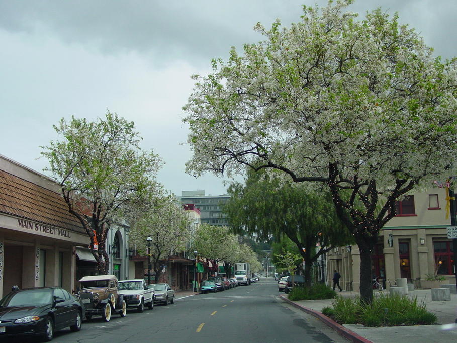 Martinez, CA: Main Street