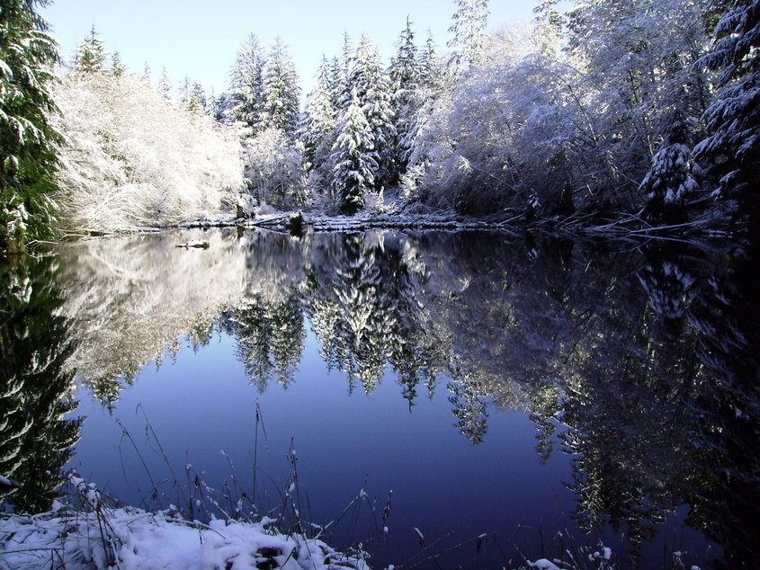 Aberdeen, WA: Newskah River dressed in Snow- Aberdeen Washington
