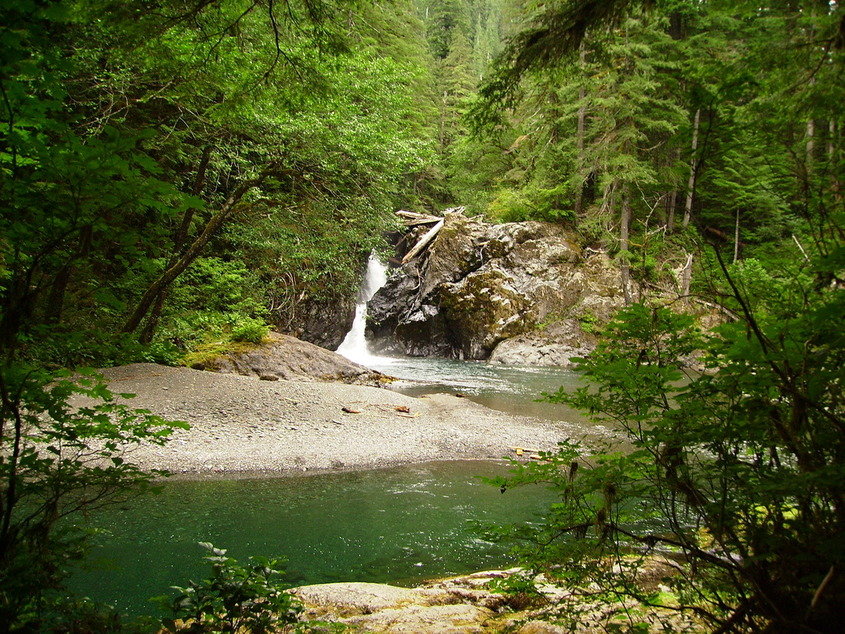 Aberdeen, WA: Wynoochee Falls- Washington State