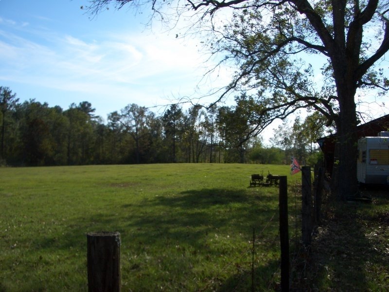 Chester, TX : Farm pasture in Chester, TX