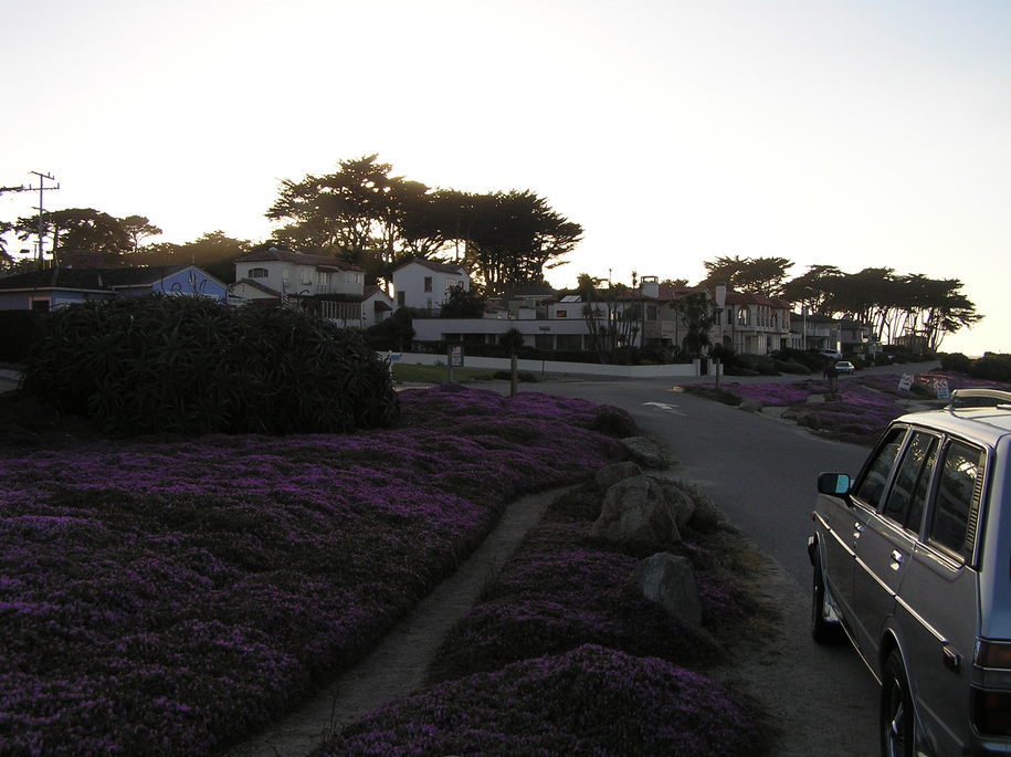Garden Grove, CA : Colors of Pacific Grove_1