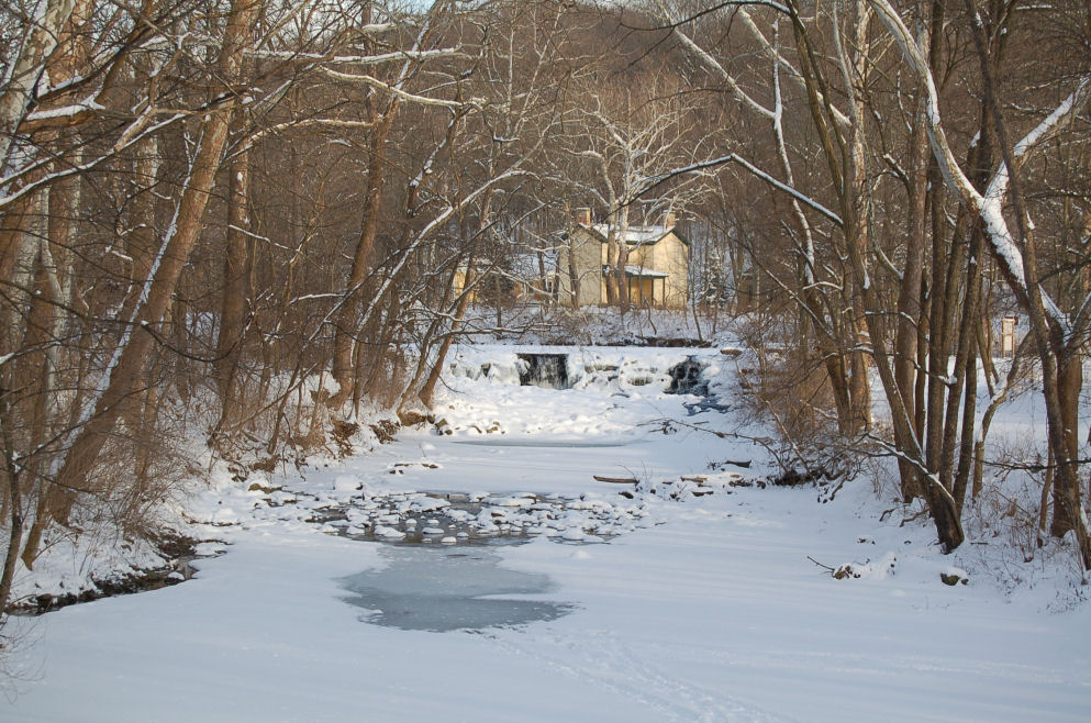 Sharonville, OH: Sharon Woods in Winter