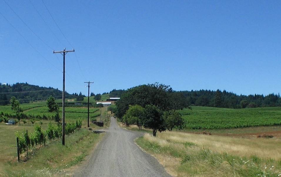 Southeast Benton, OR : Gravel Road.....