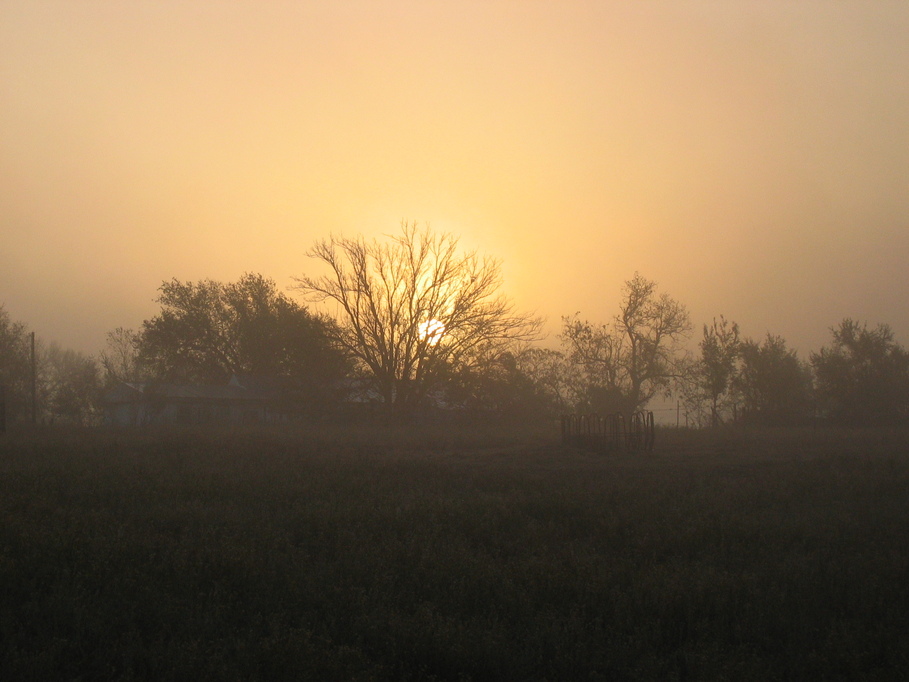 Wellington, TX : foggie fall sunrise