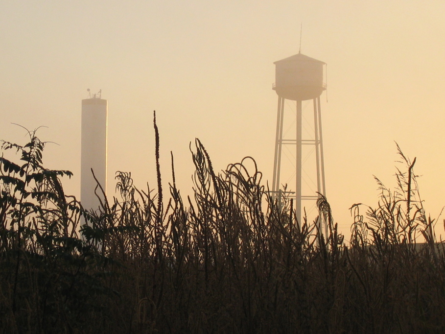 Wellington, TX: watertower foggie fall morning