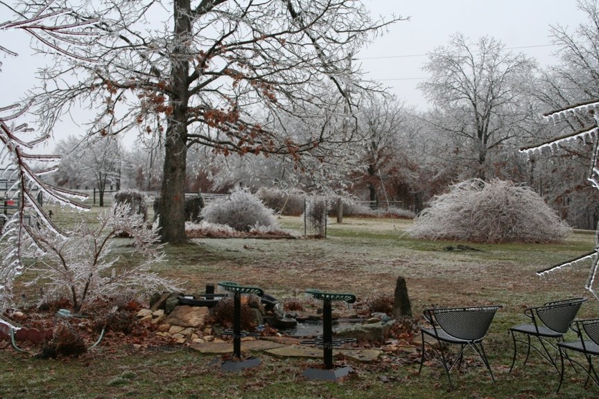 Marshfield, MO: Our front yard in the winter, Marshfield, MO