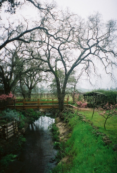 Napa, CA : View from Silverado Trail, Napa, CA