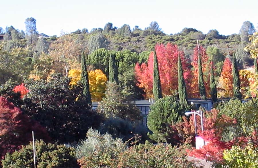 Kelseyville, CA : View from Konocti Harbor Resort & Spa