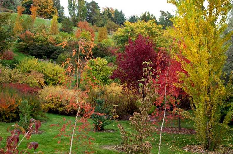 Moscow, ID: Autumn 2007 - Vibrant colors at the University of Idaho Arboretum, Moscow, Idaho