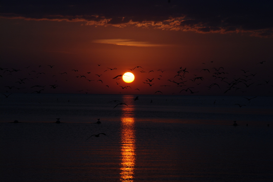 Crystal River, FL Sunset at Fort Island Park photo