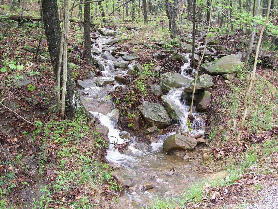Fairfield Glade, TN : Rainy Season at FFG