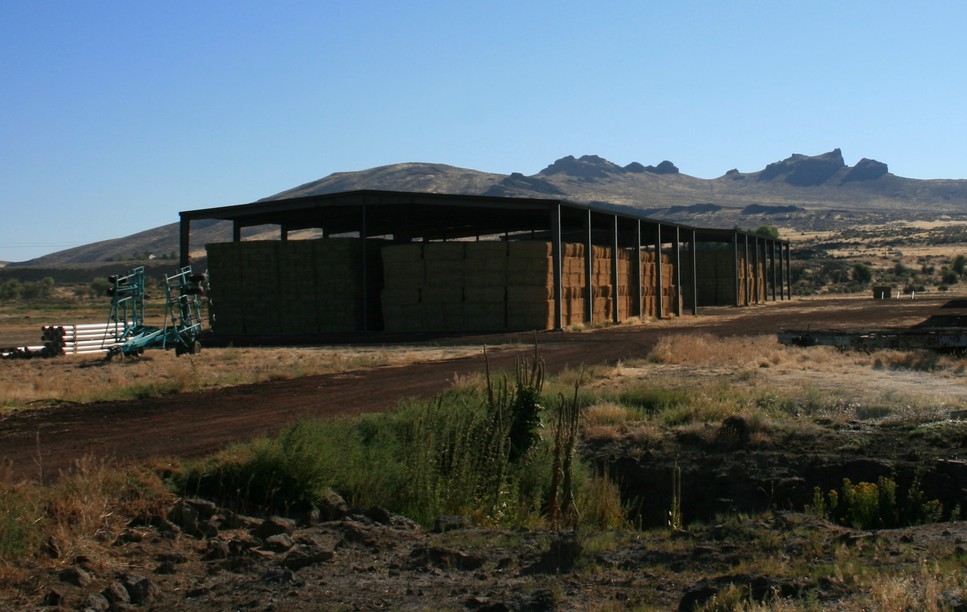 Tule Lake, CA : Haybales......