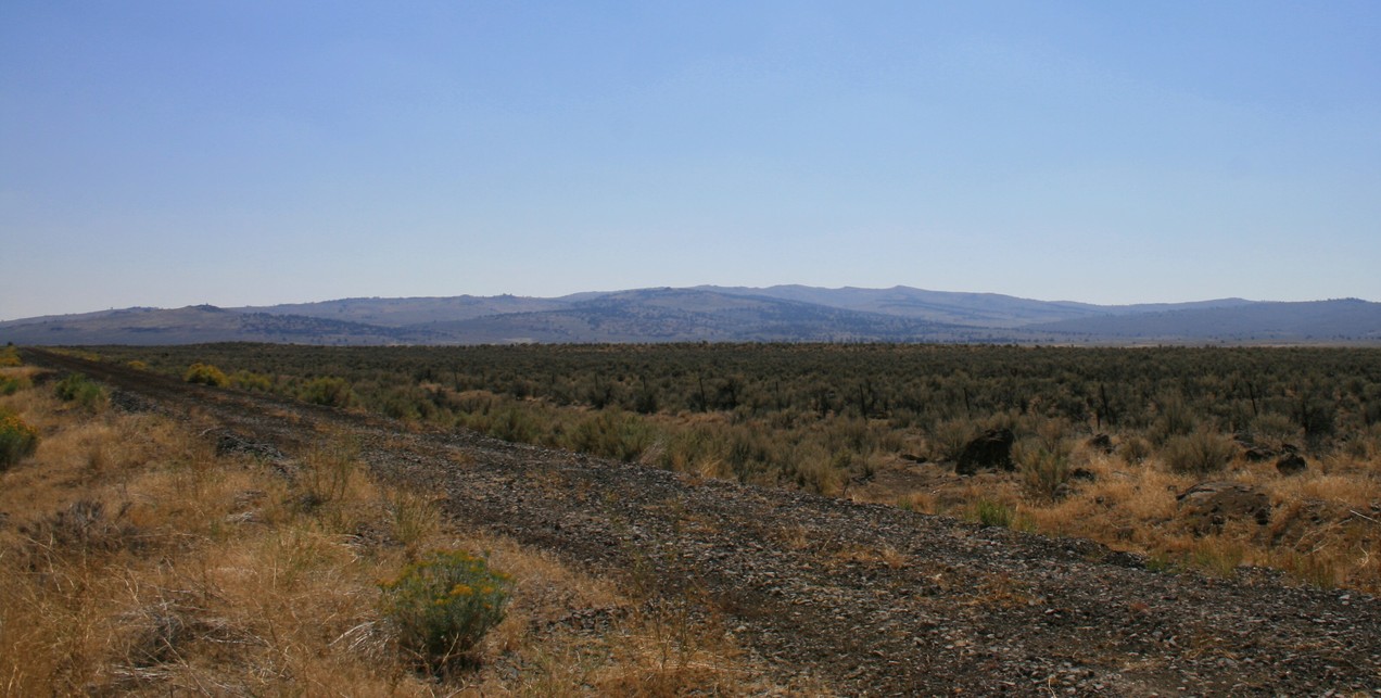 Madeline Plains, CA : Not many trees.....