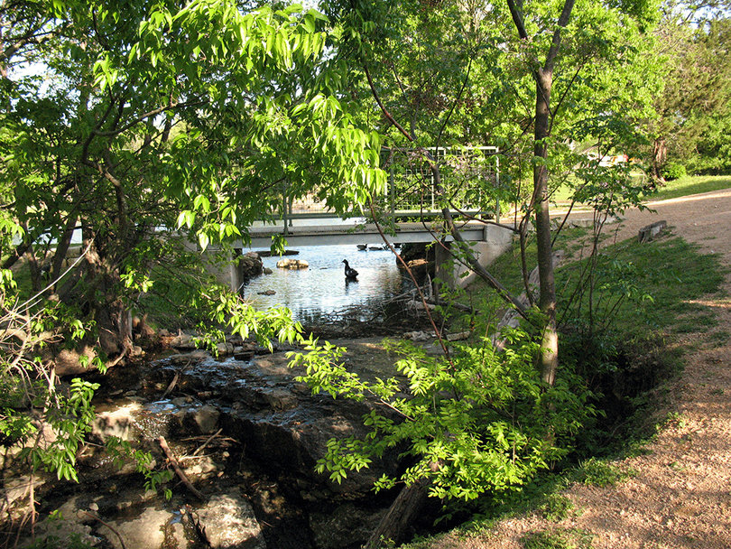 Brushy Creek, TX: Brushy Creek, TX - Brushy Creek Duck Pond
