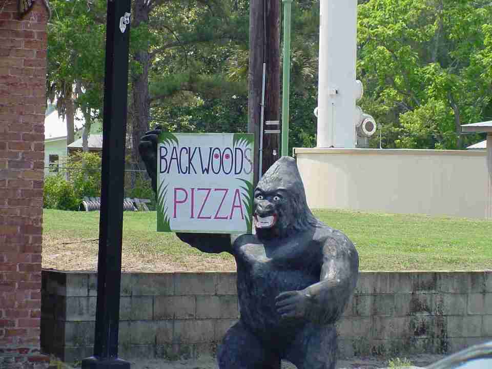 Sopchoppy, FL: Backwoods Bistro mastcot