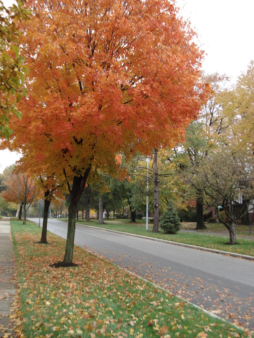 Oakwood, OH : Welcome to Oakwood, Ohio