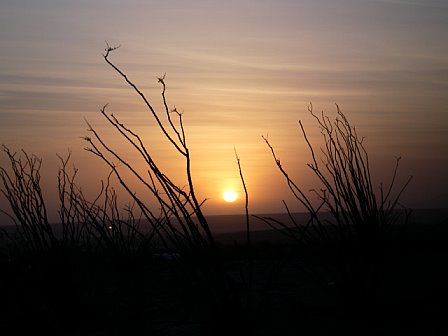 Ocotillo, CA : Sunrise as seen from Via De Anza Road.