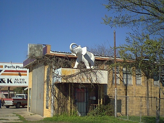 Taylor, TX: Elephant been watching over Taylor for over 50 years