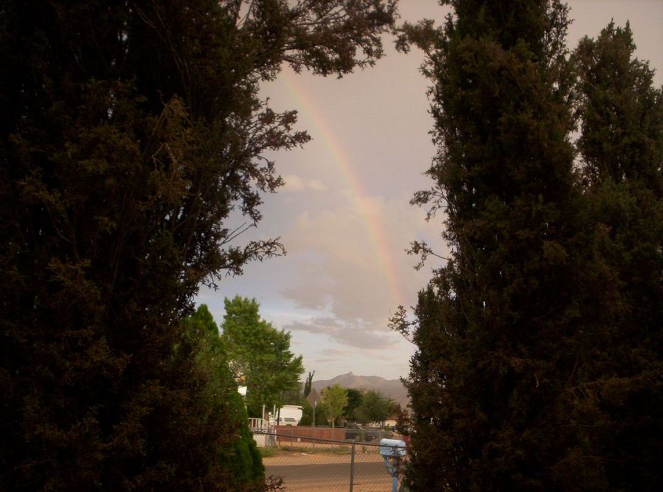 Kingman, AZ: Kingman Rainbow