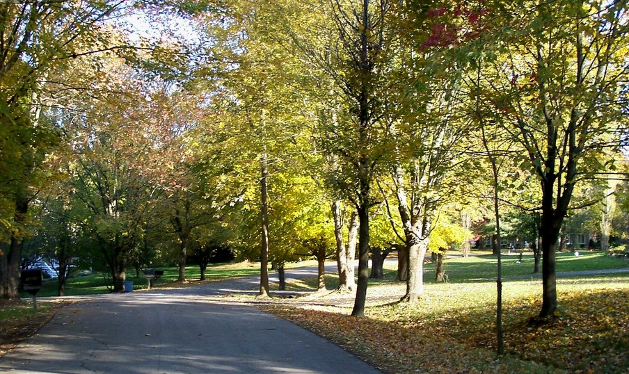 Goshen, KY neighborhood road North of Goshen photo, picture