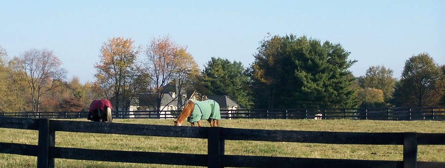 Goshen, KY : Horse property just  North of Goshen
