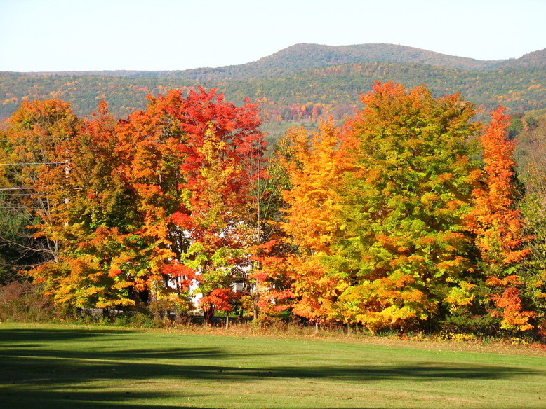 Kerhonkson, NY Fall Foliage from Gelles Drive photo, picture, image