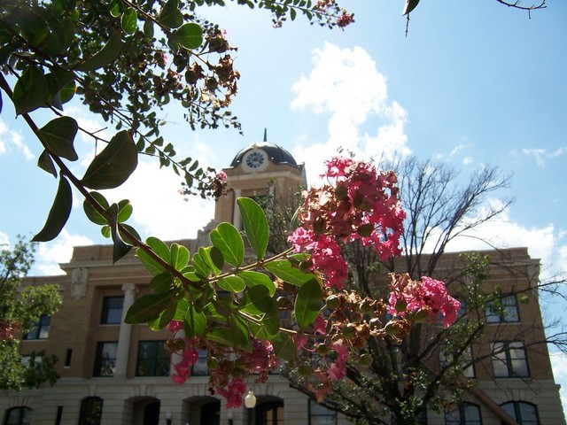 Gainesville, TX : Cooke County Courthouse