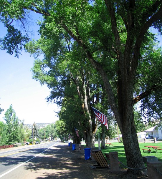 Adin-Lookout, CA : Flags.....