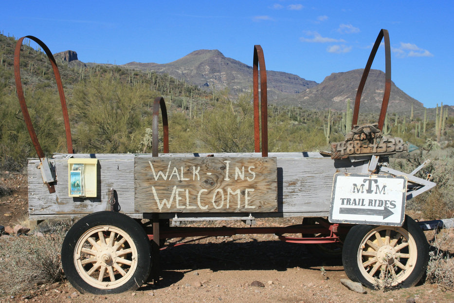Cave Creek, AZ: beautiful trails to hike or ride in Cave Creek