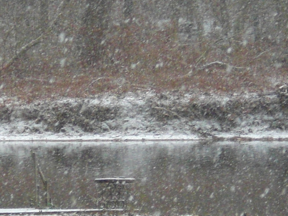 Langhorne, PA : neshaminy creek in langhorne pa