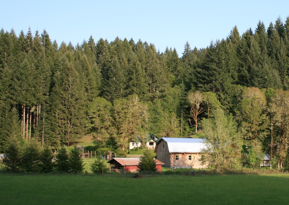 Upper Siuslaw, OR : Farm in the hills.....