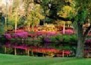 Summerville, SC: Azalea Park in bloom