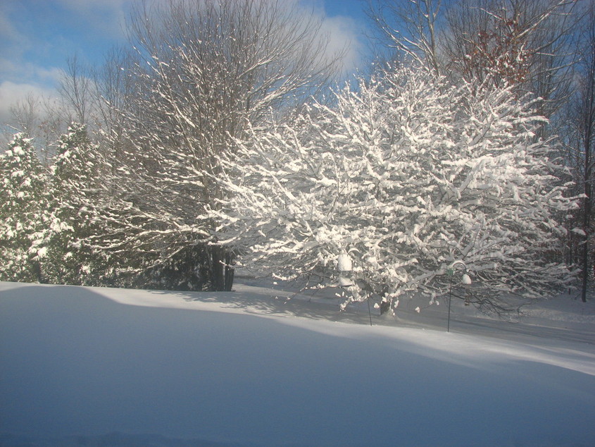 Bedford, NH: Snowy day December 20, 2007