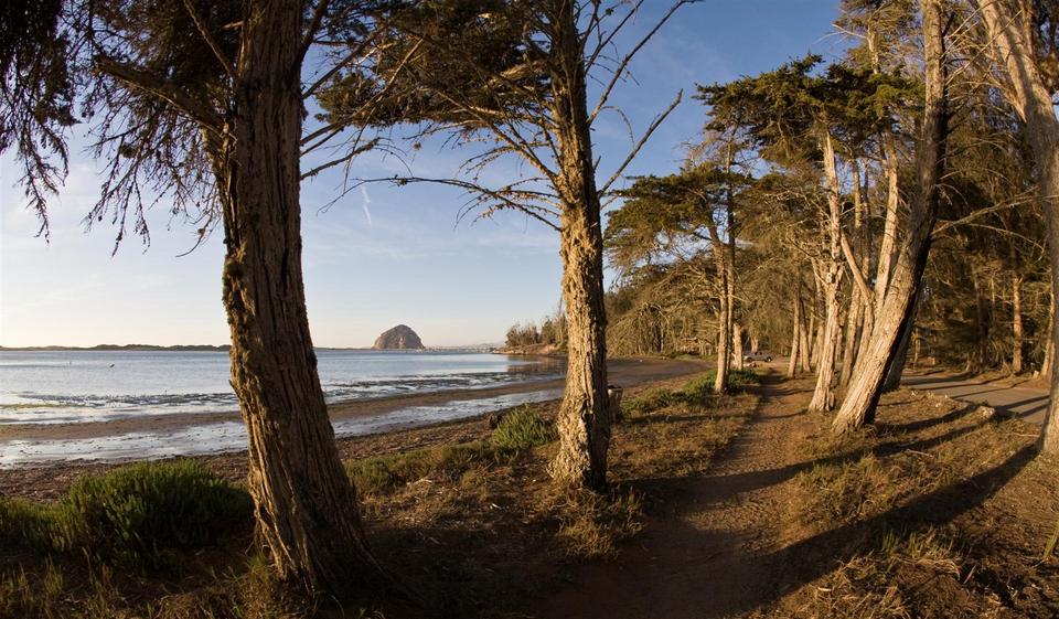 Morro Bay, CA: Windy Cove of Morro Bay, CA near the Museum of Natural History