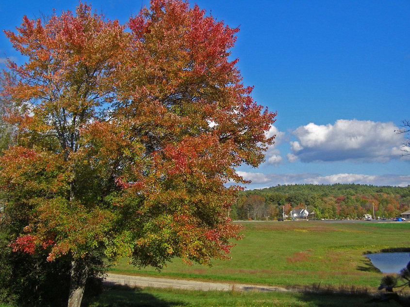 Belchertown, MA : View from my grandmothers home one route 9 to the Quabin