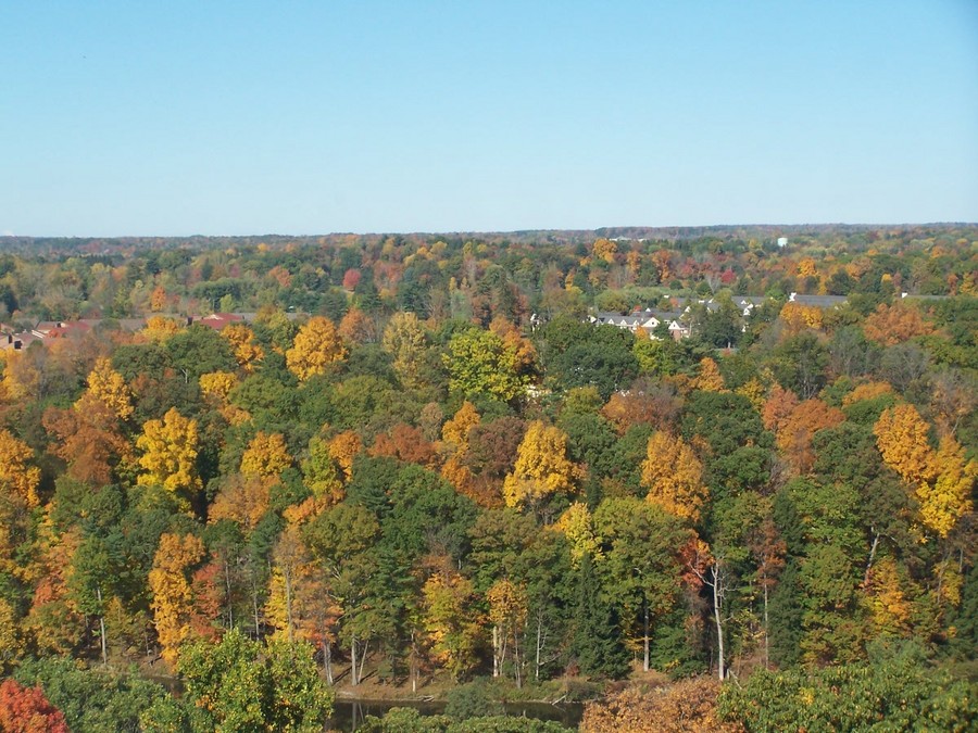 Ithaca, NY: North of Cornell Campus