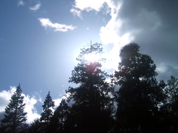 Georgetown, CA : A beauiftul view of the sky...from my front yard.