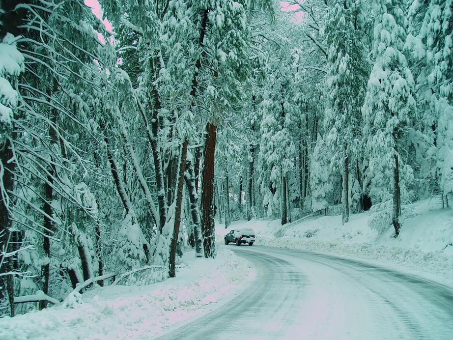 Pollock Pines, CA: Snow at Pollock Pines