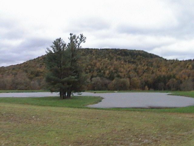 New Lebanon, NY : Picturesque  Field and Pond on Garfield Road in Stephentown, NY
