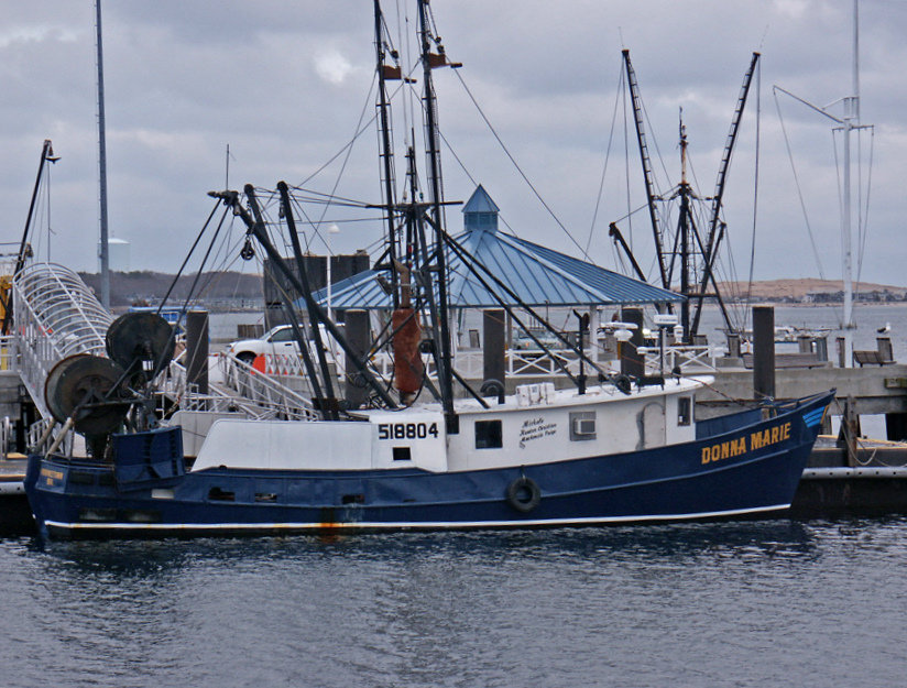 Provincetown, MA : Provincetown Harbor