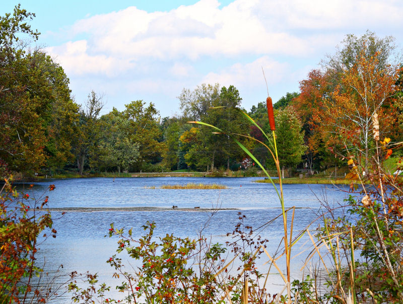 Wayne Lakes, OH: Beautiful Fall day on Cherokee Lake