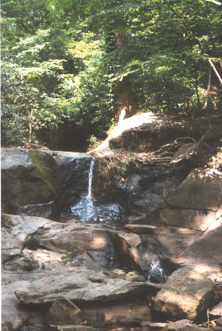 Greenville, SC : reedv river park