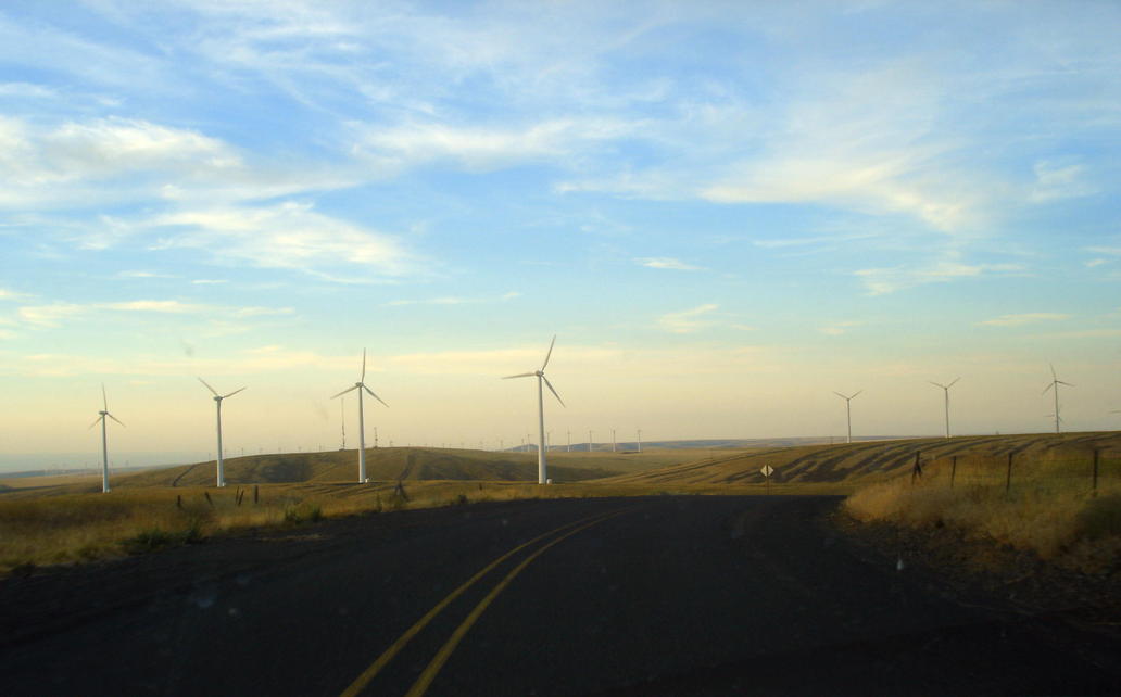 Condon, OR: Windmills outside Condon by Air Station