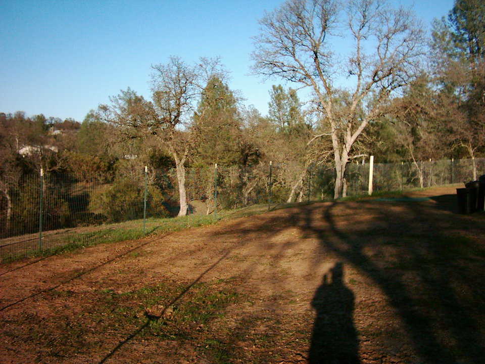 Rancho Tehama Reserve, CA : A Portion Of My 1.57 Acre Backyard