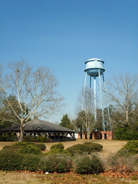 Olar, SC: Water tower in Olar, SC