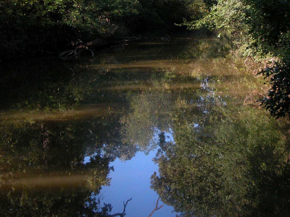 Luray, KS: Play Luray: Creek running through course