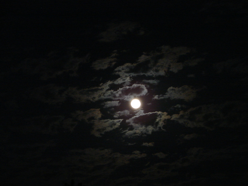 Vancleave, MS : Full moon over Vancleave.  Photo taken January 21, 2008